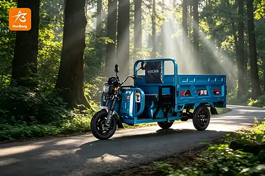 Best Brands Offering Cargo Electric Tricycles for Adults - Hanbang
